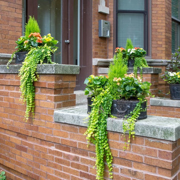 Window Boxes & Planters
