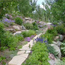 Landscape Ideas