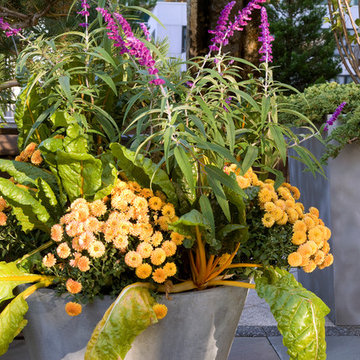 Chicago Roof Garden