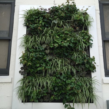 Architect Office San Francisco