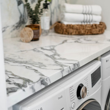 Cactus Wren | Luxury Staging