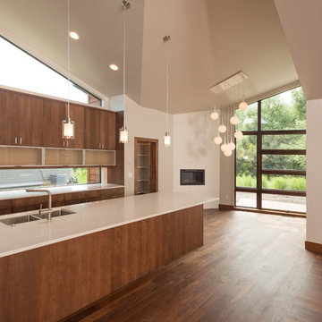 Mid century modern