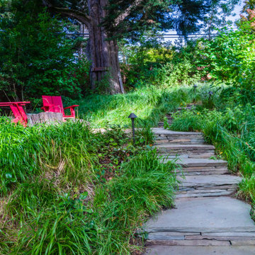 Grassy Meadow Oasis - Reduces Waste While Increasing Habitat