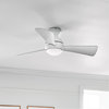 Sola 1 Light 44" Indoor Ceiling Fan, Matte White