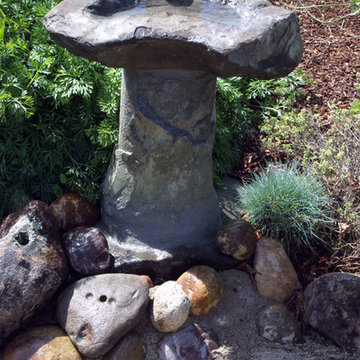 Wildlife Habitat in Campbell, California 95008