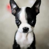 Foto de Darla Murphy
