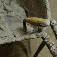 Foto di profilo di Verde Mattone Edilizia Sostenibilità e Design