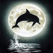 Danielle Fischer's photo
