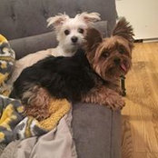 Gina Skipworth's photo
