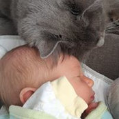 Jenn Gruno's photo