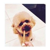 Karina Zhang's photo