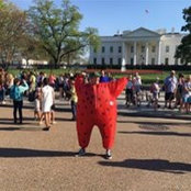 Rob Bair's photo