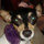 Diane Taylor