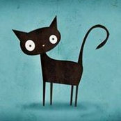 Flori Dragomiroiu's photo