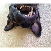Matt Harris's photo