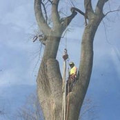 Kyle Tarburton's photo