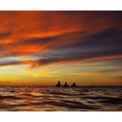 Sean Nelsen's photo