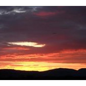 Nelma Treider's photo