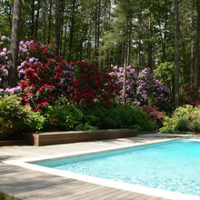 Landscaping - Hamptons