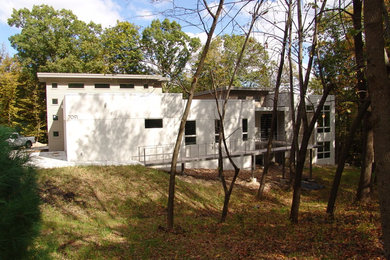 Example of a minimalist exterior home design in Other
