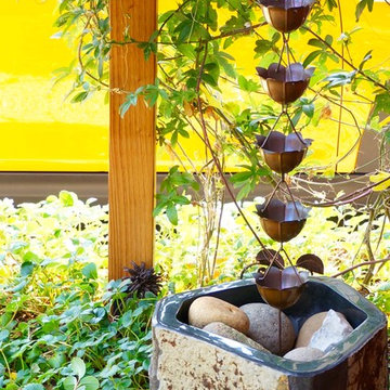 Native & Drought Tolerant Garden