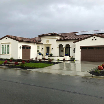 Front Yard, Back Yard, Side Yard Transformation