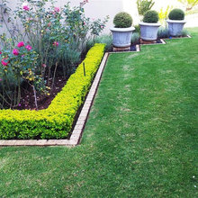 flower beds