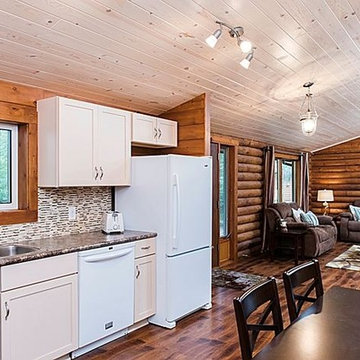 Log Cabin Remodel
