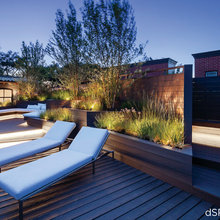 Urban Landscaping