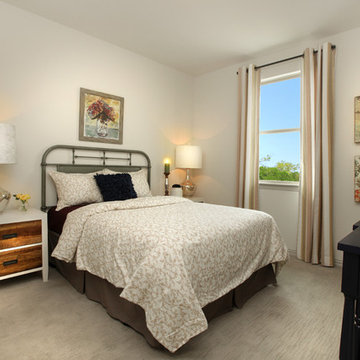 Viridian - Phase VI - Arlington, TX