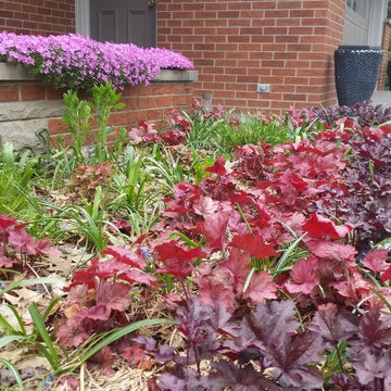 sycamore mulch-less conversion