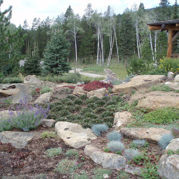 Rock Gardens