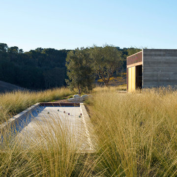 Bocce Ball Courts