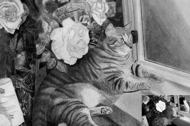 Detailed Pencil Cat Portrait