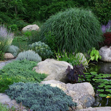 Water Feature