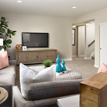 Daniel model home in Colorado