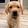 webuser_564463