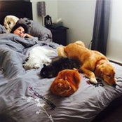 Foto de Jessica Brisson
