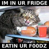 Emanuel Grigorica's photo