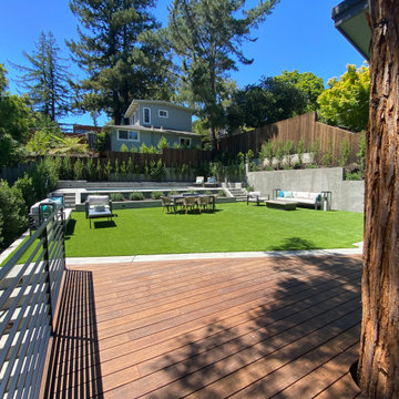 Larkspur Contemporary Hillside