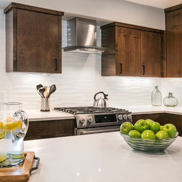 Contemporary Kitchen in Edina