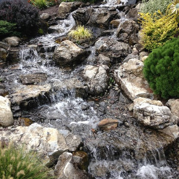 Pond Paradise Designs assorted photos