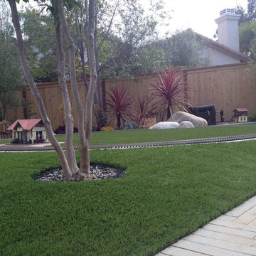 Train Track Backyard