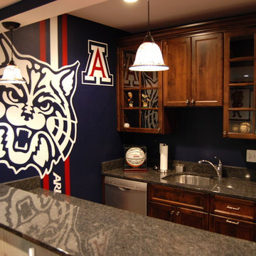University of Arizona Sports Bar themed Mural by Tom Taylor of Wow Effects