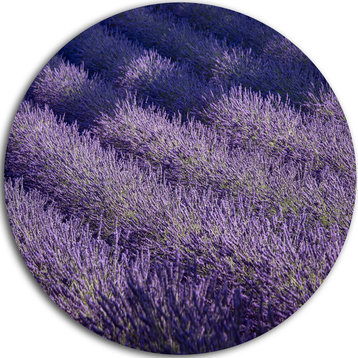 Lavender Field And Ray Of Light, Landscape Round Wall Art, 23"