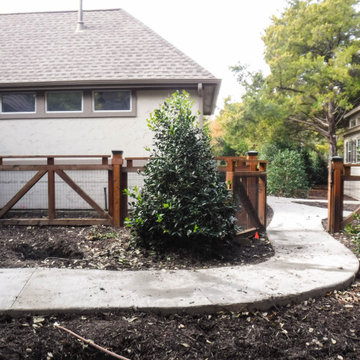 Evergreen Trees & Shrubs