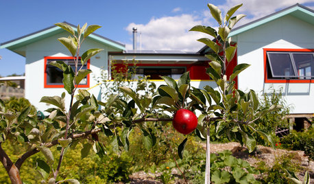 Houzz Новая Зеландия: Яркий дом с цветными рамами