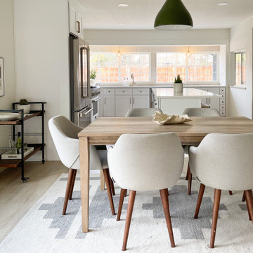 Soothing Suburbia | Centennial, CO | Scandinavian Full Home Renovation