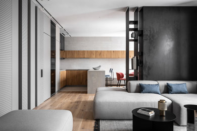 Inspiration for a modern living room remodel in San Diego