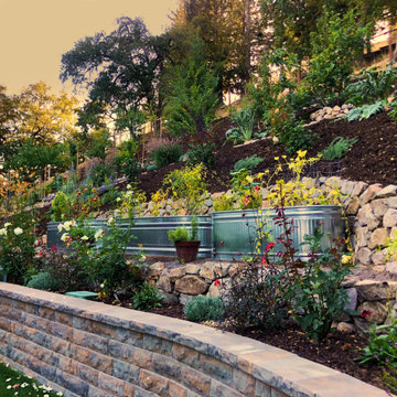 Orinda Downs Judges Award winning project